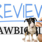 PawBiotix Reviews | Honest Look at Ingredients, Dosage & Results for Dogs
