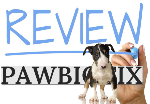 PawBiotix Reviews | Honest Look at Ingredients, Dosage & Results for Dogs